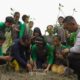 PT Timah Reklamasi 78,21 Hektare Lahan Bekas Tambang di Babel Sepanjang Semester I 2026