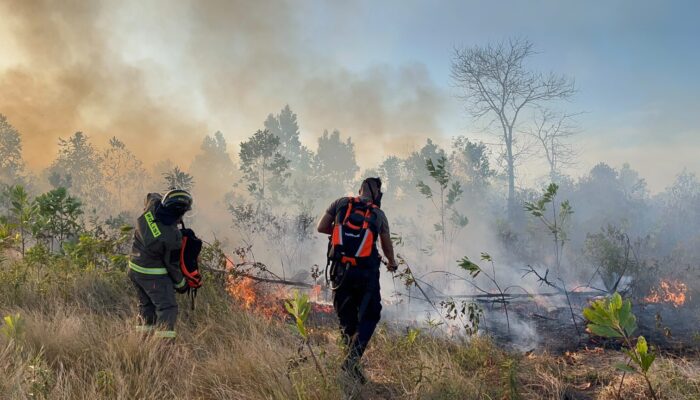 Tim Gabungan Padamkan Karhutla 5 Hektare di Pangkalpinang