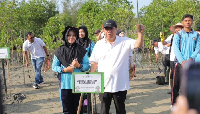 Pantai Menuang Ditanami 3.300 Bibit Mangrove, Gubernur Babel Tekankan Aksi Nyata Jaga Lingkungan