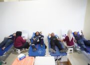 Donor Darah Bulan Bakti PT Timah Disambut Antusias, 55 Kantong Darah Disalurkan ke RSUD Bangka Tengah