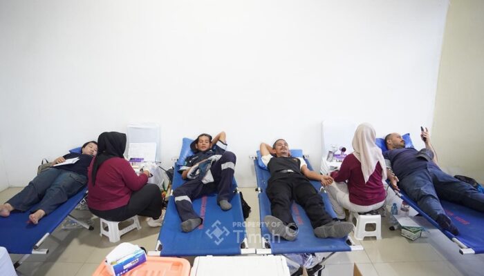 Donor Darah Bulan Bakti PT Timah Disambut Antusias, 55 Kantong Darah Disalurkan ke RSUD Bangka Tengah