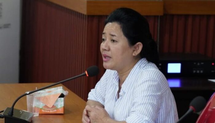 Soal Posisi Wagub Babel, Rina Tarol: Kalau Kami Dewan Diam, Dewannya yang Sakit