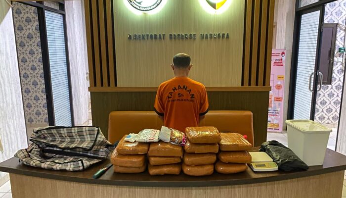 Terungkap! Pria di Pangkalpinang Simpan 17 Paket Ganja, Beratnya 12,8 Kg