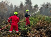 PT Timah Kerahkan 15 Fire Fighter Bantu Tangani Karhutla di Kalimantan Barat