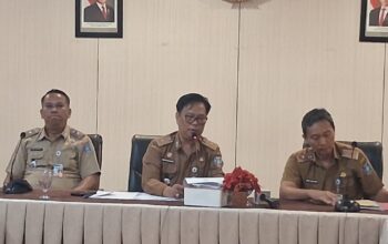 Hellyana Diberhentikan Sementara dari Jabatan Wakil Gubernur Babel