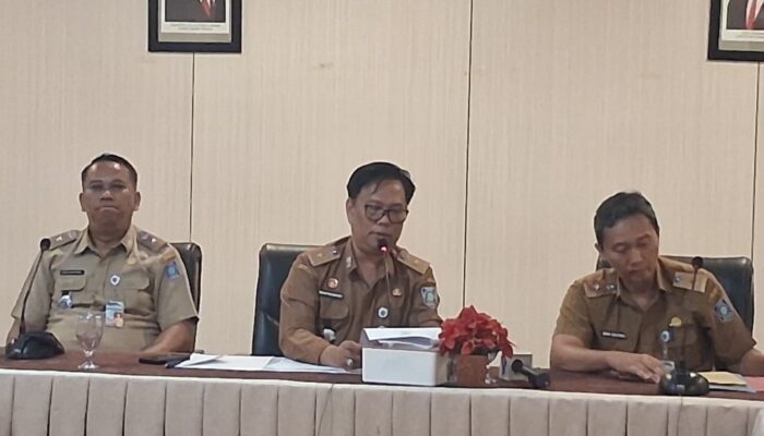 Hellyana Diberhentikan Sementara dari Jabatan Wakil Gubernur Babel