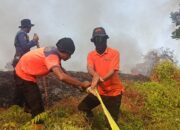 Karhutla di Pangkalpinang Melanda Lahan Bergambut Seluas 5 Hektare