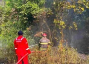 Kebakaran Lahan di Pangkalpinang Melonjak, Damkar Catat 62 Kejadian hingga Agustus 2026