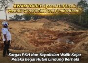 AWAM BABEL Apresiasi Polsek Mentok Sisir Hutan Lindung Berhala, Minta Penindakan Berlanjut
