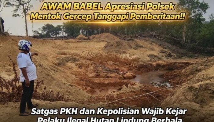 AWAM BABEL Apresiasi Polsek Mentok Sisir Hutan Lindung Berhala, Minta Penindakan Berlanjut